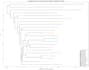 do scientific data entry and database research