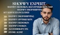 design, fix and audit shopify dropshipping store for accessibility, optimization