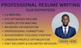write professional ats resume, cv, cover letter