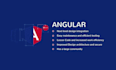 develop angular web applications professionally