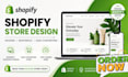 shopify store design and redesign to boost store visibility