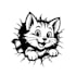 draw vector line art illustration