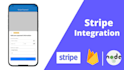 bug fix stripe payment integration paypal wise shopify checkout api integration