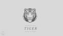 minimal animal logo design