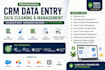 do expert CRM data entry, cleaning and management
