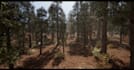 create a stunning 3d game environment and level design in unreal engine 5