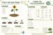 create environmental education worksheets and printables
