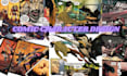 do comic book, graphic novel, sci fi, superhero comic strip as your comic artist