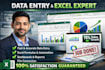 provide accurate data entry and professional excel services