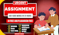 write assignment, essay writing, coursework, project for college and university