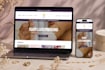 build shopify store for your business