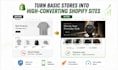 build or redesign shopify store for dropshipping brands