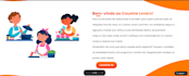 test your website or app and provide detailed feedback
