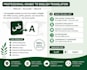write simple english essays professionally