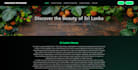 create a responsive HTML CSS website