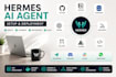 setup hermes ai agent openclaw n8n mcp ollama codex claude code on vps fix wsl2