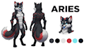 draw custom furry or fursona oc reference sheet with front, back and side view
