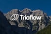 a corporate logo and full brand identity
