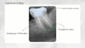 manually annotate animated dental xrays