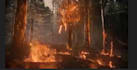 do cinematic vfx, fire explosion, smoke and dust effect, gun shot, vfx compo fx
