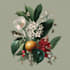 do a botanical illustration