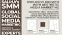 develop a professional SEO strategy and manage SEM campaigns