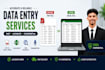 do accurate data entry, PDF to excel, accurate transcription
