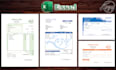 design receipt, invoice, fillable pdf form or excel