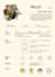 create a unique creative CV, resume