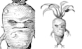 create black and white illustrations using cross hatching