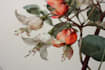 illustrate best botanical illustration