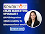 setup sparkpost transactional email sparkpost deliverability