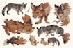 create a custom furry reference sheet illustration professionally