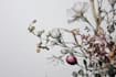 illustrate best botanical illustration