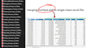 clean messy data, organize records and handle data entry