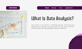 do expert data entry, ms excel and google sheets work