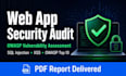 do a web application vulnerability assessment and owasp security audit