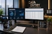 do professional data entry data typing web reasearch