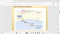 design professional ms powerpoint presentation slides
