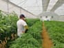 provide professional irrigation and fertigation consultation
