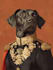 do custom pet portrait, dog portrait, cat portrait
