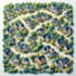 create vector neighborhood and local area map