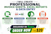 create professional invoice sheets, excel reports and do data entry tasks