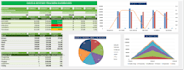 create professional excel dashboard with kpis and pivot table