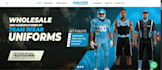 design and develop a professional responsive website for your business