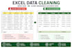 clean and format excel data professionally