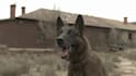 cinematic vfx shots, fire, blood with advanced compositing and cgi integration