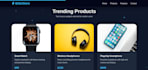 professional web UI design and frontend development