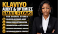 do klaviyo audit and optimize email flows for shopify stores