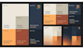 design professional brand color scheme, visual style guide, visual style guide